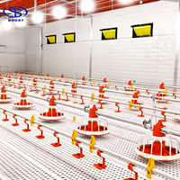 Équipement d'élevage avicole complet automatique, système d'alimentation et d'abreuvement pour projet d'élevage commercial de poulets de chair et de poules pondeuses