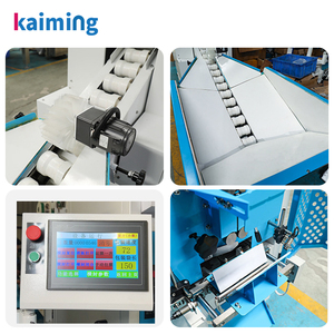 Machine d'emballage automatique pour oranges - Machine d'emballage sous <span class=keywords><strong>film</strong></span> pour citrons, oranges Navel, Ponkan, mandarines et agrumes - Product Image 6