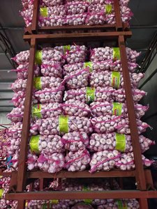 Exportadores de ajo blanco fresco Ajo Alho con bolsa de malla embalaje para alimentos nuevo cultivo de ajo al por mayor - Product Image 3