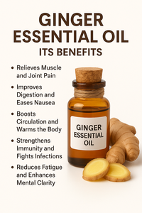 Ginger Essential <b>Oil</b> Pure Natural Steam Distilled Aromatherapy Grade Fresh Spice Extract for Massage <b>Diffuser</b> Skin Care Use - Product Image 3
