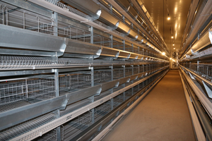 Structure en acier léger préfabriqué vache cochon poulet cheval chèvre hangar ferme maison grange élevage de volaille conception de bâtiment stable - Product Image 5