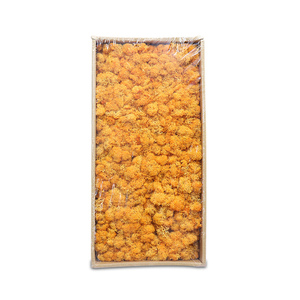De tacto <span class=keywords><strong>real</strong></span> de césped <span class=keywords><strong>artificial</strong></span> moss panel plantas - Product Image 2