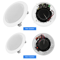 AS2 2 pièces 20w 30w 40w bt plafond 5.25/6.5/actif de 8 pouces haut-parleur coaxial