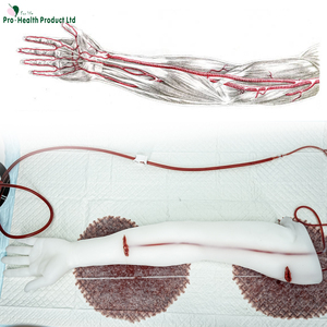 Modelo anatómico médico transparente, entrenador de brazo de Control de hemorragia con material de silicona compuesto - Product Image 4