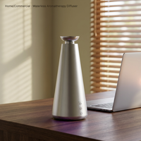 Diffuseur d'aromathérapie vertical de bureau commercial/domestique, contrôlé par application, alimenté par USB, en métal, silencieux 35 dB, grande capacité 100 ml