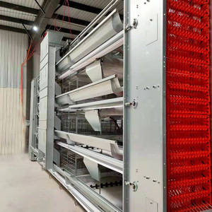 Nhà Máy Giá Thiết Kế Mới Công Suất Cao H Loại Tự Động Hệ Thống Lồng Trứng Gà Lớp Lồng Trong Nam Phi Gia Cầm Trang Trại - Product Image 3