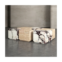 Newstar Style Moderne Conception Personnalisée Pierre Naturelle Mable Meubles Table Basse Calacatta Viola Marbre Salon Meubles