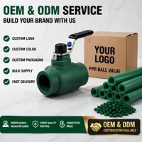 Système d'alimentation en eau chaude et froide, usine OEM ODM, robinet à bille en laiton chromé, raccord de tuyau PPR DN20-63, vanne à bille PPR