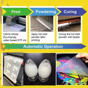 옷에 열전달 인쇄용 고품질 승화 방지 DTF 블랙 핫멜트 파우더