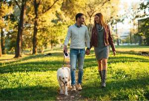 Automatic Retractable <strong>Dog</strong> Leash AdjustableTelescopic Pet Walking <strong>Lead</strong> <strong>for</strong> Small Medium Large <strong>Dogs</strong> Double <strong>Dog</strong> Leash &amp; <strong>Collar</strong> Set - Product Image 2