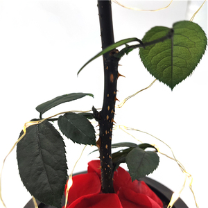 <span class=keywords><strong>Rosa</strong></span> real <span class=keywords><strong>preservada</strong></span> de La <span class=keywords><strong>Bella</strong></span> <span class=keywords><strong>y</strong></span> la <span class=keywords><strong>Bestia</strong></span> en cúpula de cristal con luz Led, regalo para el Día de San Valentín, venta al por mayor - Product Image 6