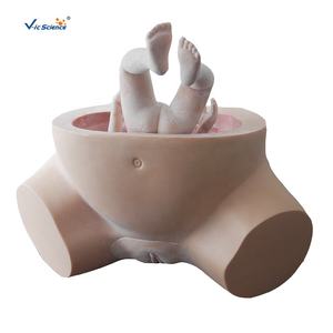 Modèle de formation avancée simulée de sage-femme pour les étudiants en médecine dans l'enseignement hospitalier - Product Image 4