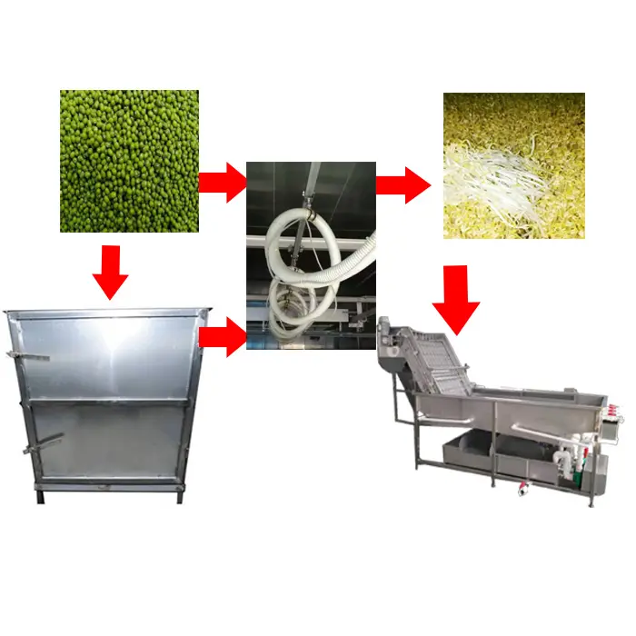 Machine commerciale de germination des graines Machine automatique de germination de soja et de haricot mungo machines de traitement des produits de germination