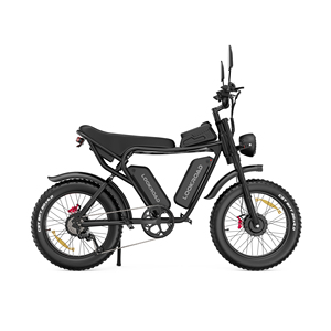 Vélo électrique L20 PRO à double moteur 52V 40Ah, autonomie longue portée 200-250 km, freins à disque hydrauliques doubles, certifié CE, pneus larges de 20 pouces - Product Image 4