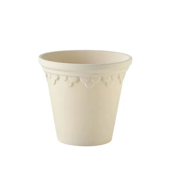 250307 ปอนด์