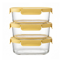 Boîte alimentaire en verre borosilicate à succès avec couvercle, compatible four, hermétique, avec sac de rangement