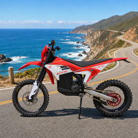 Moto électrique tout-terrain Arctic Leopard Cheetah E-XE 880 37kW 90V 75Ah 125km/h Enduro Motocross