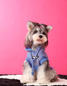 JXANRY Otoño e Invierno Perro Nueva Ropa Teddy Schnitzer Than Bear Do <span class=keywords><strong>Old</strong></span> Color-changing Sudadera con capucha sin mangas - Product Image 2