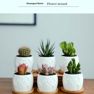 Vente directe d'usine Napin, <span class=keywords><strong>pot</strong></span> de fleurs de bureau moderne en porcelaine blanche émaillée respirante de marque JADE, capacité de 1 à 2 L, transfrontalier - Product Image 4