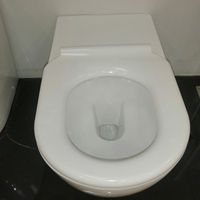 Toilettes intelligentes pour personnes à mobilité réduite, toilettes surélevées pour seniors, WC pour personnes handicapées, siège confortable pour personnes handicapées, toilettes commerciales