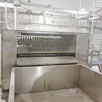 Processus d'abattage de la viande d'agneau de 50 à 500 GPH pour les machines d'abattoir, équipement d'abattage des moutons