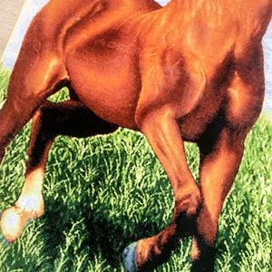Alfombra de Seda Hecha a Mano de 91x123cm, Tapiz de <span class=keywords><strong>Caballo</strong></span> 100% Seda, Alfombra <span class=keywords><strong>Persa</strong></span> de Seda de la India - Product Image 6