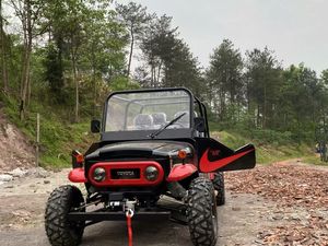 Jeep de 350cc a Gasolina, 2 Plazas, Todoterreno, Motor de Cuatro Tiempos, para Granjas, Parques, Turismo y Alquiler Comercial - Product Image 6