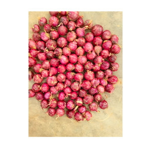 Cebolla Roja China fresca al por mayor Precio barato Importación Exportación Cebolla orgánica fresca y de calidad - Product Image 5