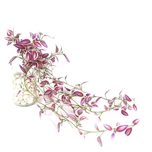 Pianta Artificiale Pendente Variegata Lunga 70cm, Simulazione Foglie Occipitale - Product Image 3