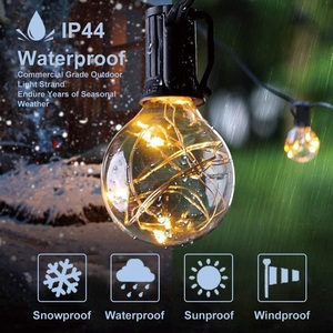 <strong>Supplier</strong> Wholesale G40 <strong>Light</strong> <strong>String</strong> Christmas Tree Terrace Decoration Rope Flower <strong>Fairy</strong> Lighting Copper Wire <strong>LED</strong> <strong>Light</strong> <strong>String</strong> - Product Image 2