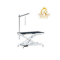 EUR PET Table de toilettage électrique simple et de luxe facile à utiliser Offre Spéciale pour grands animaux de compagnie pour chats et chiens