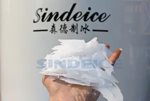 SINDEICE चीन सबसे अच्छा वाणिज्यिक 2 टन 2000kg/दिन परत बर्फ बनाने की मशीन/निर्माता बर्फ परत निर्माता फैक्टरी