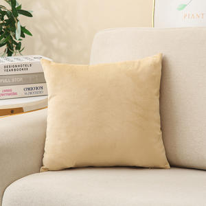 Best-seller châtaigne doux carré velours taie d'oreiller luxe <span class=keywords><strong>housse</strong></span> <span class=keywords><strong>de</strong></span> coussin pour canapé-lit voiture velours jeter taie d'oreiller - Product Image 6