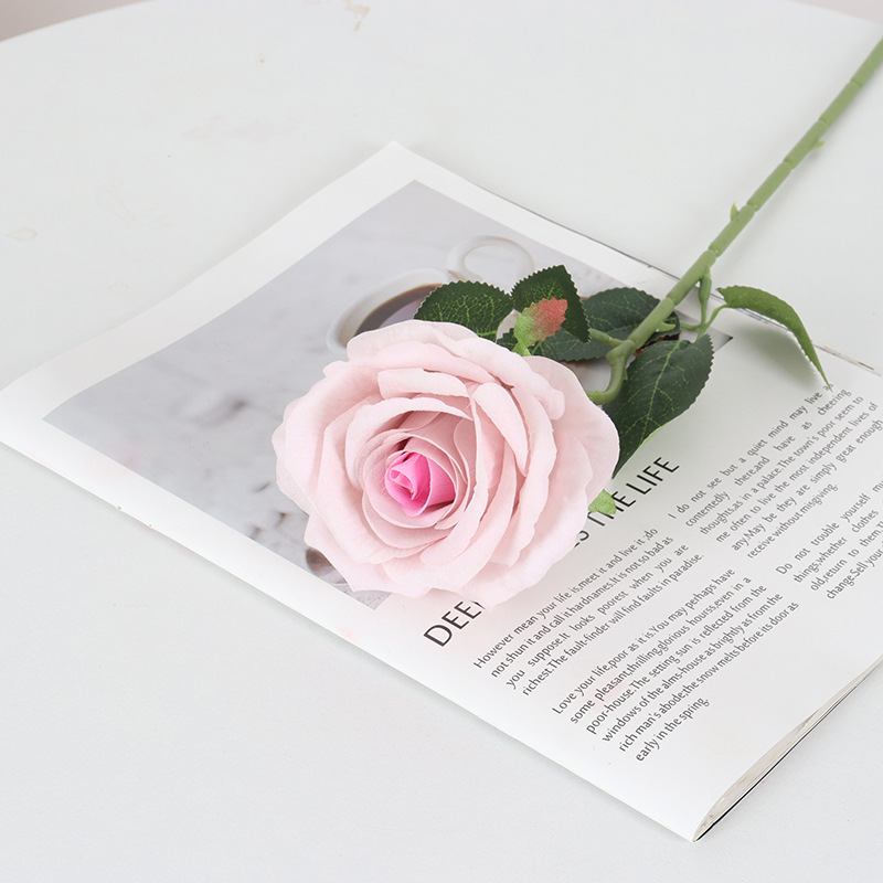 Light-Pink