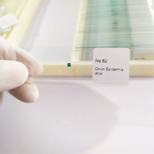 Đồ Dùng Nhà Máy Kính Hiển Vi Chuẩn Bị Lớp Biểu Bì Hành Tây Vật Phẩm Cây Đơn - Product Image 2