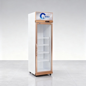 Réfrigérateur vertical de présentation pour boissons de magasin de proximité, avec porte vitrée, sans givre, à refroidissement direct par ventilateur, pour bières et boissons - Product Image 5