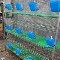 Ventes Directes Usine de Cages à Lapins Galvanisées de Haute Qualité, Cage à Lapins à 3 Étages et 12 Places, Équipement d'Élevage de Lapins
