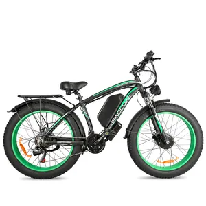 BLJ US direct delivery fat tire dual engine 2000w 48v 20Ah lithium electric mountain e bike for adults