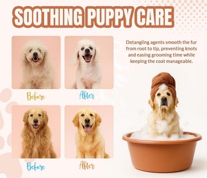 Shampooing et après-shampooing pour animaux de compagnie de marque privée pour chiots à peau sensible et qui démange <span class=keywords><strong>Meilleur</strong></span> shampooing pour chien contre les odeurs - Product Image 4