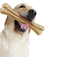 Os à mâcher pour chiens en cuir brut naturel pressé de 3/5/7 pouces, en forme d'os, fourniture d'usine pour les animaleries