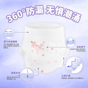 Culottes hygiéniques pour femmes Haishi Hainuo, serviettes hygiéniques de nuit, serviettes hygiéniques menstruelles en gros pour femmes, confortables - Product Image 4
