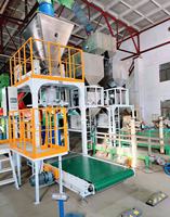 Machine de conditionnement de pesage de remplissage de sac de tonne manuelle de haute précision Applications chimiques de poudre de Graphite de son de farine