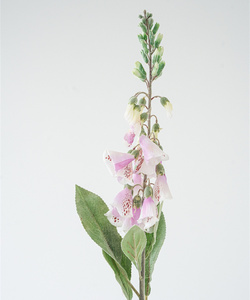Flores Artificiales de Seda al por Mayor, Resistentes al Agua, Decorativas para el Hogar, Tipo <span class=keywords><strong>Foxglove</strong></span> Blanco, para Bodas, Regreso a Clases y Año Nuevo Chino - Product Image 5