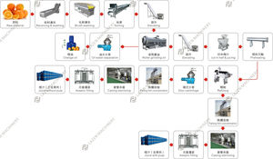 Ligne de production de jus d'agrumes orange citron facile à utiliser Machine d'extraction de fruits, Machine industrielle pour jus de citron - Product Image 4