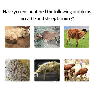 Effetto rapido probiotici animali che regolano l'intestino suino additivi per mangimi per bovini cavallo - Product Image 3