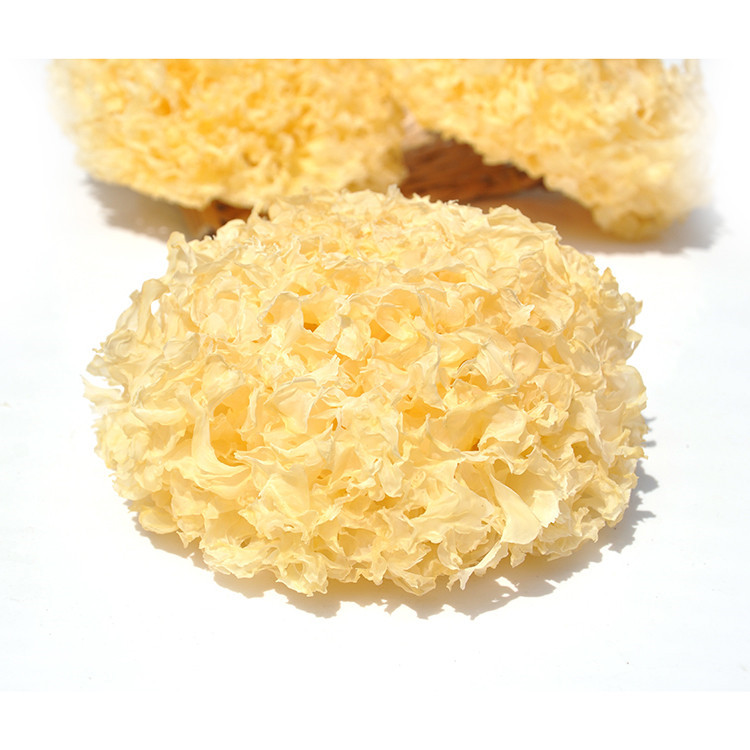 Factory Wholesale And Nutritious Organic Dried White Fungus Tremella
