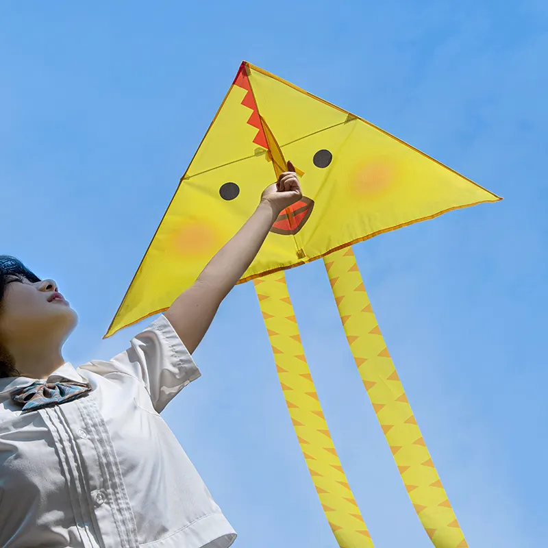 ألعاب شاطيء للأطفال من SHIMOYAMA ألعاب للأماكن الخارجية الأفضل مبيعًا على الموضة ولأكل الخنازير والدجاج وركوب طائرة ورقية سهلة الطيران