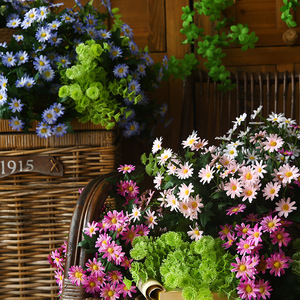 ดอกเดซี่ประดิษฐ์ ยี่ห้อ Yihua Floral Art ช่อดอกไม้ผ้าไหมขนาดเล็ก สไตล์เรียบง่าย ตกแต่งบ้าน อุปกรณ์ประกอบฉากถ่ายภาพ สีขาว ชมพู ฟ้า เหลือง - Product Image 4