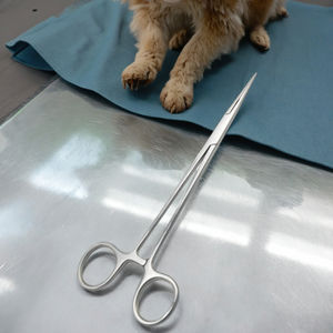 CJH instrumen kedokteran gigi yang dapat digunakan kembali Tang pemisah Organ tisu untuk perawatan anjing - Product Image 6