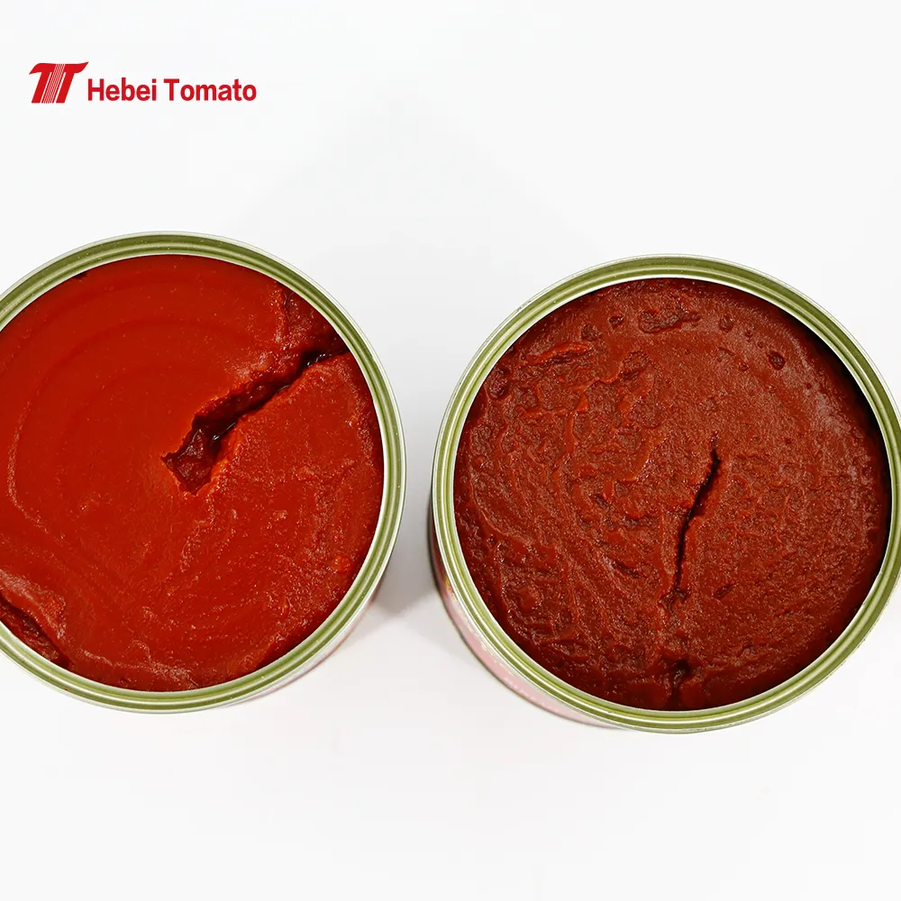 400g 800g Chine Pâte de tomate Double concentré 28-30% Brix Pâte de tomate Fabricant